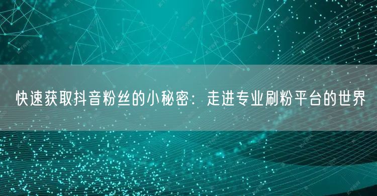快速获取抖音粉丝的小秘密：走进专业刷粉平台的世界