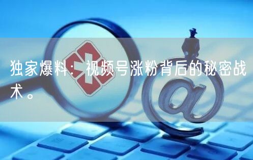 独家爆料：视频号涨粉背后的秘密战术。