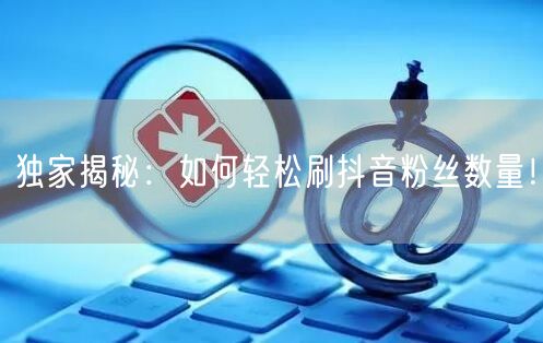 独家揭秘：如何轻松刷抖音粉丝数量！