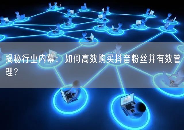 揭秘行业内幕:如何高效购买抖音粉丝并有效管理?