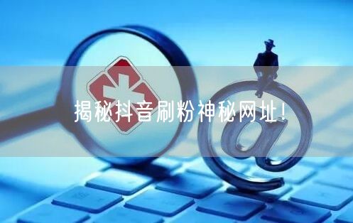 揭秘抖音刷粉神秘网址！