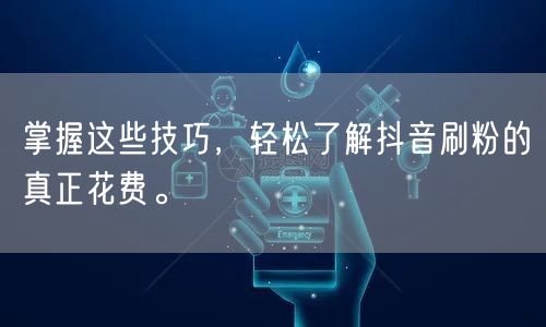 掌握这些技巧,轻松了解抖音刷粉的真正花费。