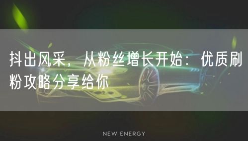 抖出风采,从粉丝增长开始:优质刷粉攻略分享给你