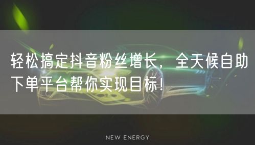 轻松搞定抖音粉丝增长，全天候自助下单平台帮你实现目标！