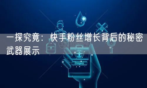 一探究竟:快手粉丝增长背后的秘密武器展示