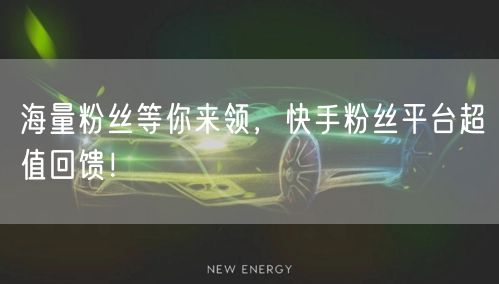 海量粉丝等你来领,快手粉丝平台超值回馈!