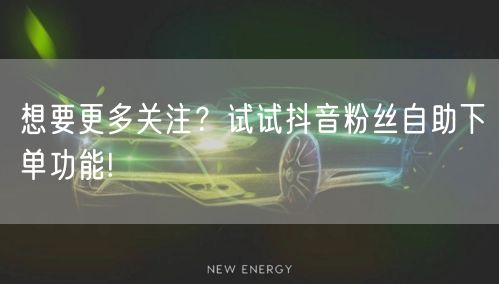 想要更多关注?试试抖音粉丝自助下单功能!