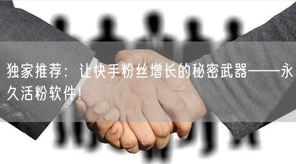 独家推荐:让快手粉丝增长的秘密武器——永久活粉软件!