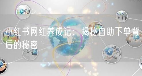 小红书网红养成记：揭秘自助下单背后的秘密