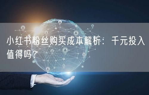 小红书粉丝购买成本解析：千元投入值得吗？
