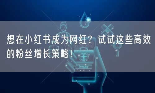 想在小红书成为网红?试试这些高效的粉丝增长策略!