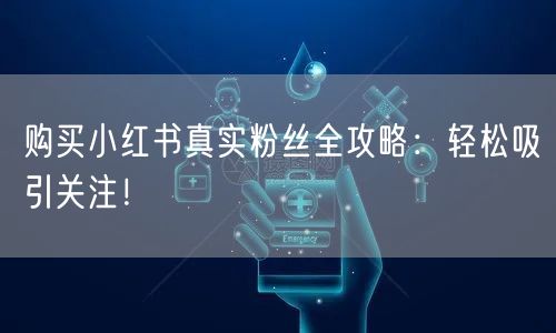 购买小红书真实粉丝全攻略:轻松吸引关注!