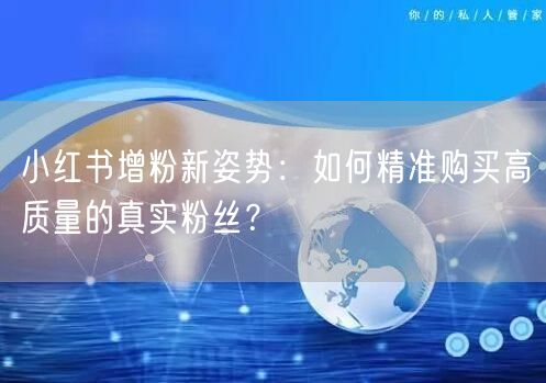 小红书增粉新姿势:如何精准购买高质量的真实粉丝?