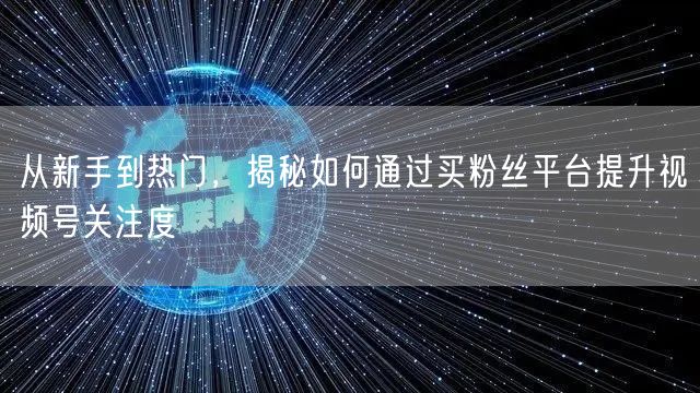 从新手到热门，揭秘如何通过买粉丝平台提升视频号关注度