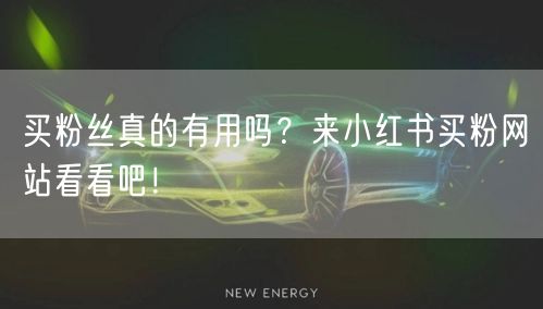 买粉丝真的有用吗?来小红书买粉网站看看吧!