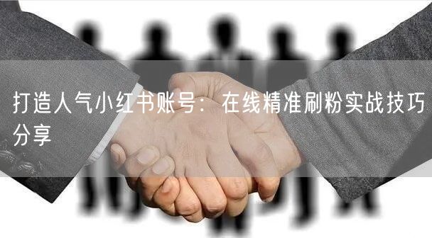 打造人气小红书账号：在线精准刷粉实战技巧分享