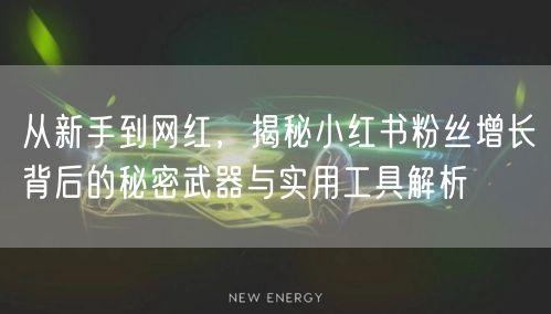 从新手到网红，揭秘小红书粉丝增长背后的秘密武器与实用工具解析