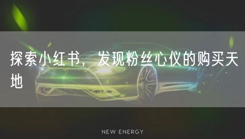 探索小红书，发现粉丝心仪的购买天地