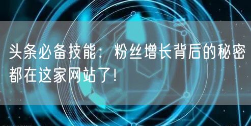 头条必备技能：粉丝增长背后的秘密都在这家网站了！