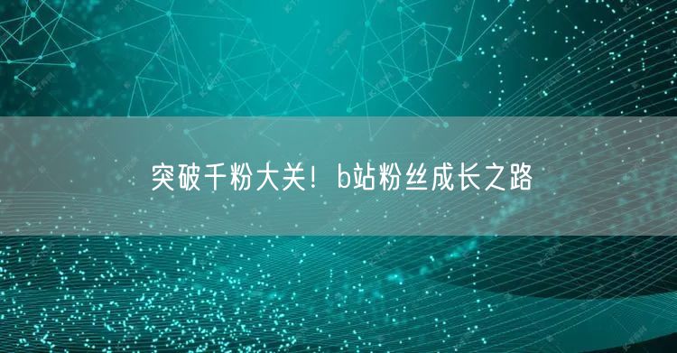 突破千粉大关！b站粉丝成长之路