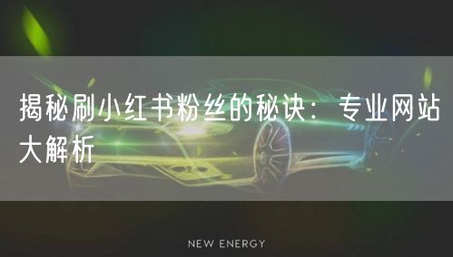 揭秘刷小红书粉丝的秘诀：专业网站大解析