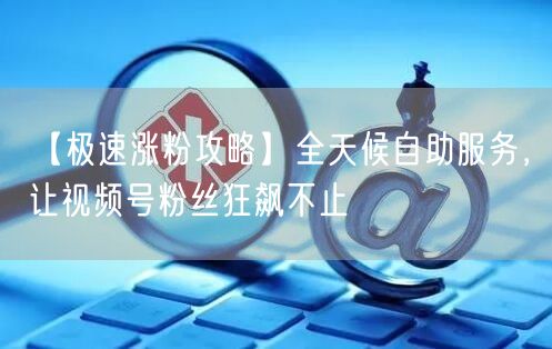 【极速涨粉攻略】全天候自助服务，让视频号粉丝狂飙不止