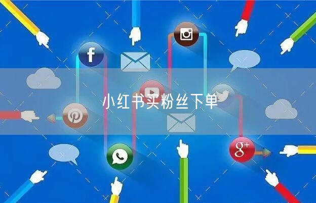 小红书买粉丝下单