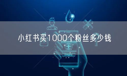 小红书买1000个粉丝多少钱