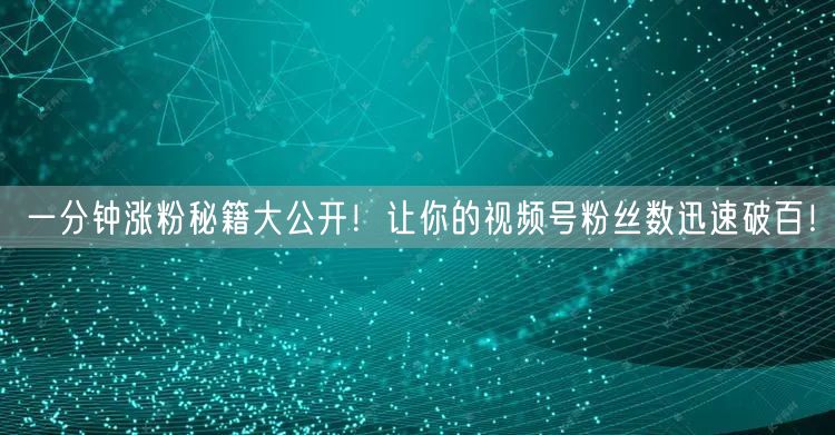 一分钟涨粉秘籍大公开！让你的视频号粉丝数迅速破百！