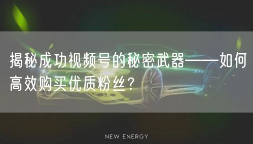 揭秘成功视频号的秘密武器——如何高效购买优质粉丝？