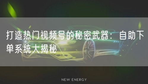 打造热门视频号的秘密武器：自助下单系统大揭秘