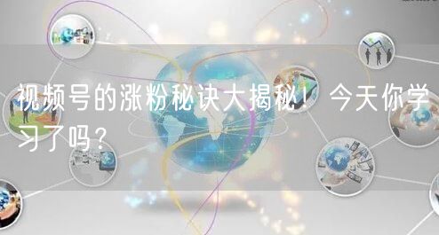 视频号的涨粉秘诀大揭秘！今天你学习了吗？