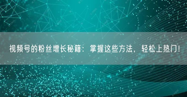 视频号的粉丝增长秘籍：掌握这些方法，轻松上热门！