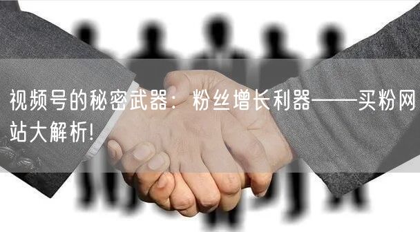 视频号的秘密武器：粉丝增长利器——买粉网站大解析!