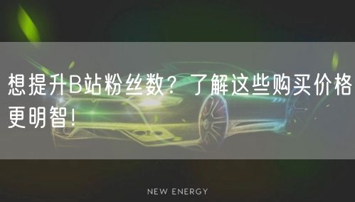 想提升B站粉丝数？了解这些购买价格更明智！