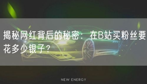 揭秘网红背后的秘密：在B站买粉丝要花多少银子？