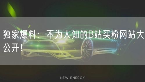 独家爆料：不为人知的B站买粉网站大公开！