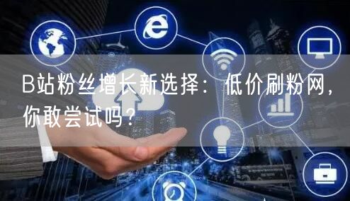 B站粉丝增长新选择：低价刷粉网，你敢尝试吗？