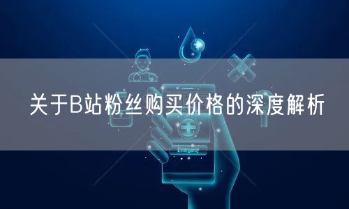 关于B站粉丝购买价格的深度解析