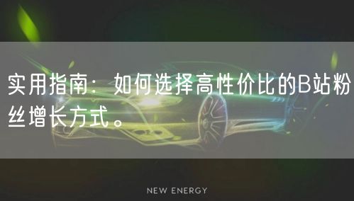 实用指南：如何选择高性价比的B站粉丝增长方式。