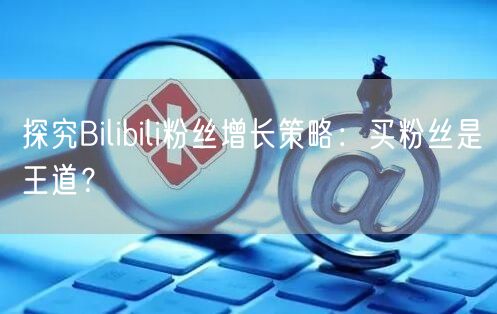 探究Bilibili粉丝增长策略：买粉丝是王道？