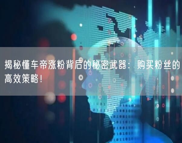 揭秘懂车帝涨粉背后的秘密武器：购买粉丝的高效策略！
