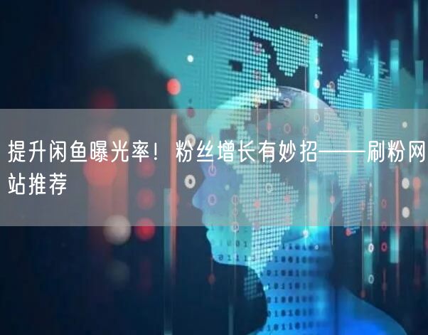 提升闲鱼曝光率！粉丝增长有妙招——刷粉网站推荐