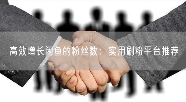 高效增长闲鱼的粉丝数：实用刷粉平台推荐