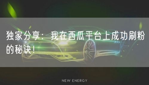 独家分享：我在西瓜平台上成功刷粉的秘诀！