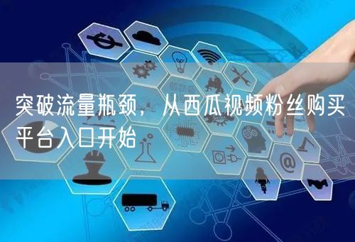 突破流量瓶颈，从西瓜视频粉丝购买平台入口开始