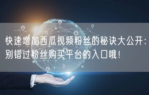 快速增加西瓜视频粉丝的秘诀大公开：别错过粉丝购买平台的入口哦！