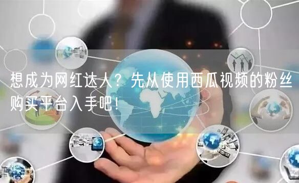 想成为网红达人？先从使用西瓜视频的粉丝购买平台入手吧！