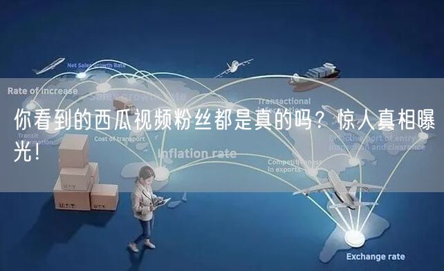 你看到的西瓜视频粉丝都是真的吗？惊人真相曝光！