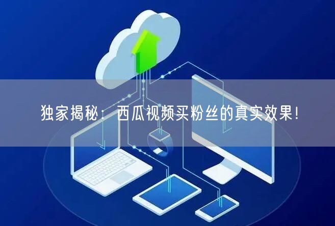 独家揭秘：西瓜视频买粉丝的真实效果！